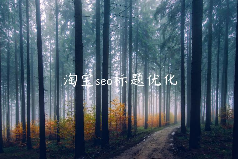 淘寶seo標題優(yōu)化